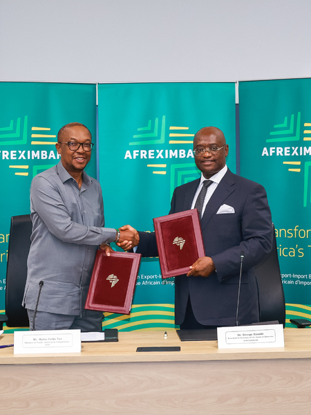 SA and Afreximbank sign US$14bn country programme